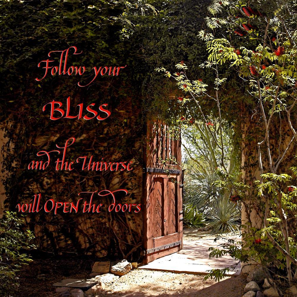 Follow your BLISS-